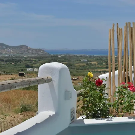 Kleio Naxian Album With Private Pool * Glinado Naxos